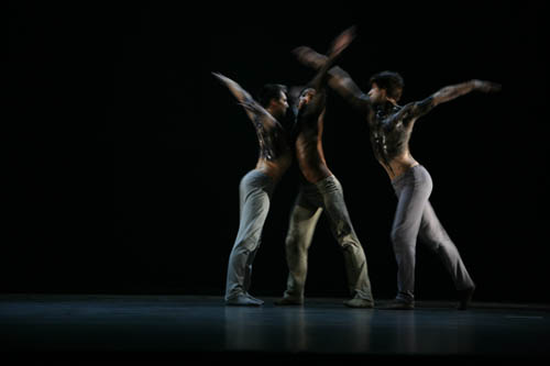 Danse – Ballets de Monte Carlo